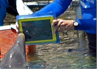 Illustration for article titled 10 Most Bizarre iPad Mods